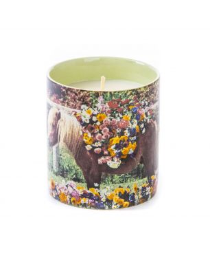 Candle Seletti Pony