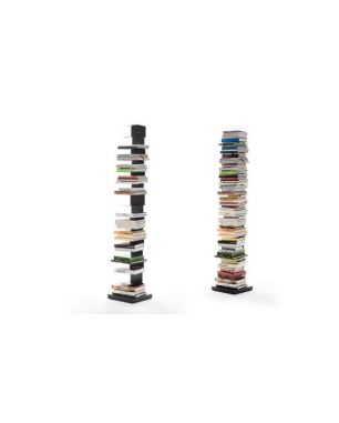 Libreria Opinion Ciatti Ptolomeo Arte