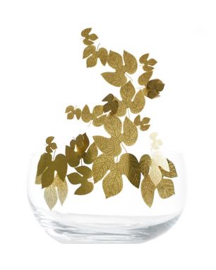 Opinione Ciatti Frutteti Bowl