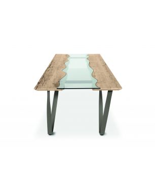 Sedit Rio Curly Table