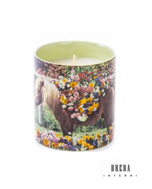 Candela Seletti Pony