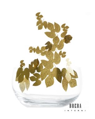 Opinione Ciatti Frutteti Bowl