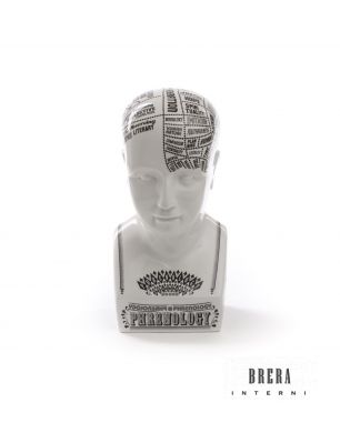 Seletti Petrantoni Phrenology Bust 