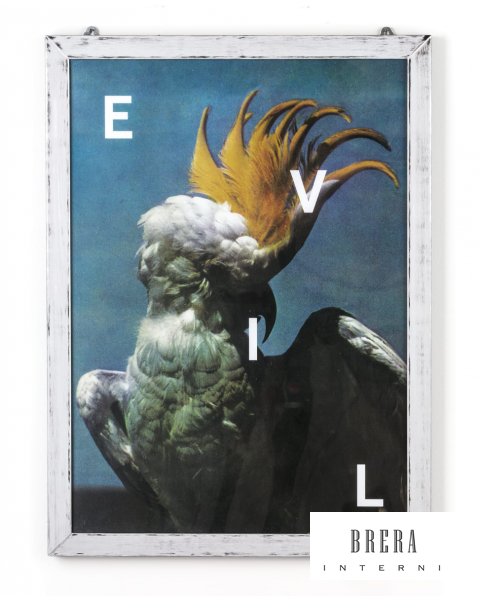 Poster Seletti Evil