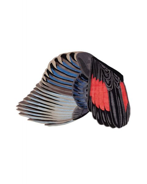 Tappeto CC Tapis Feathers Freeform 