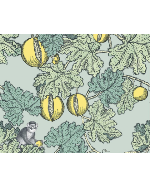Carta da Parati Fornasetti Frutto Proibito 