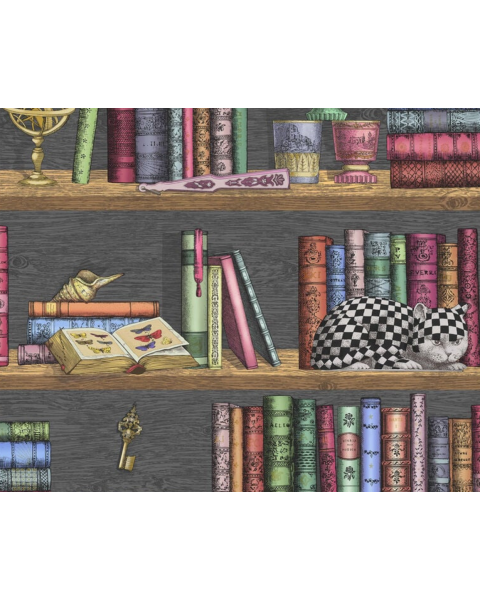 Carta da Parati Fornasetti Libreria 