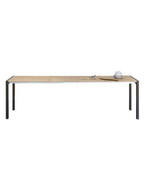 Miniforms First Extensible Table