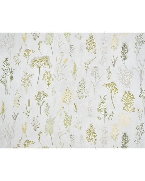 Pierre Frey Les Graminees Broderie Fabric