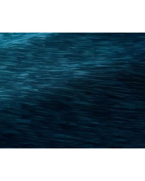 Pierre Frey Calvi Fabric