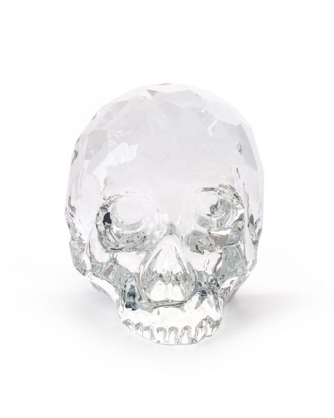 Skull Seletti The Hamlet Dilemma