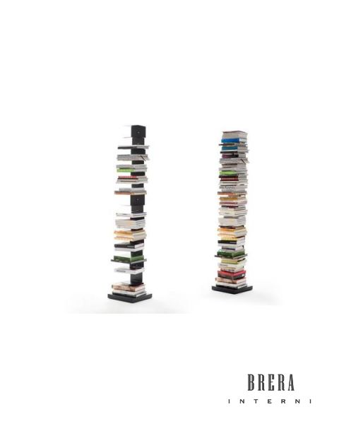 Libreria Opinion Ciatti Ptolomeo Arte