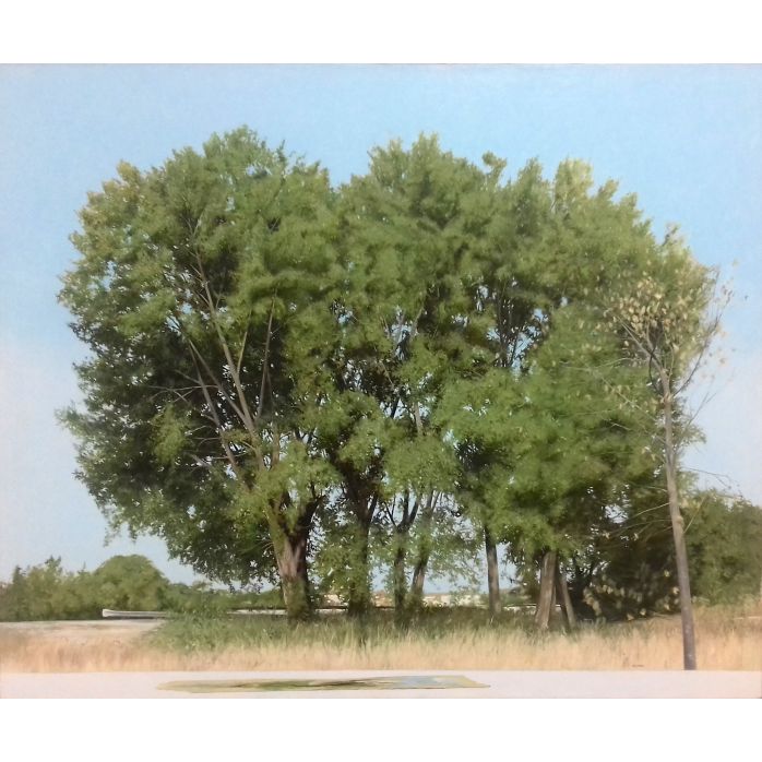 FRNSHX ART SELECTION Trees and Sky