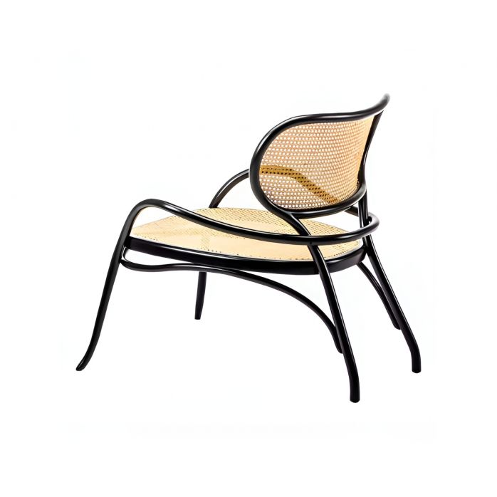 Gebrueder Thonet Vienna Lehnstuhl Armchair