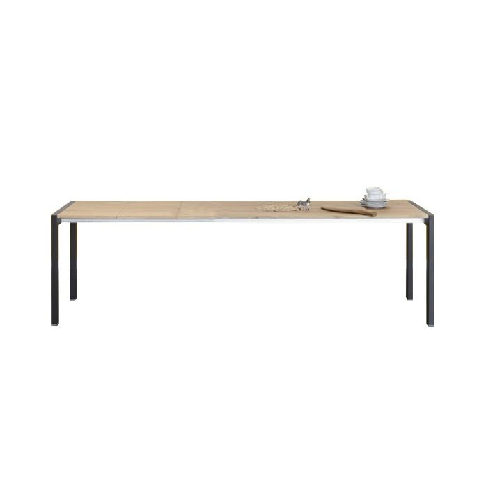 Miniforms First Extensible Table