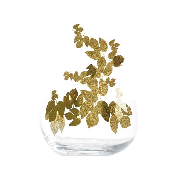 Opinione Ciatti Frutteti Bowl