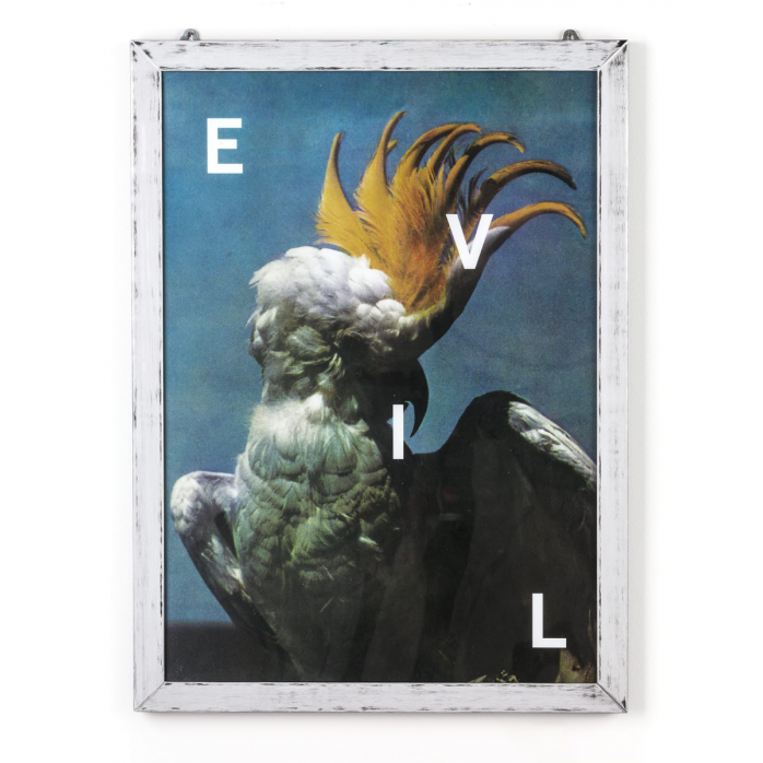 Poster Seletti Evil