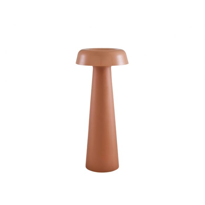Ligne Roset Shiitake Floor Lamp 