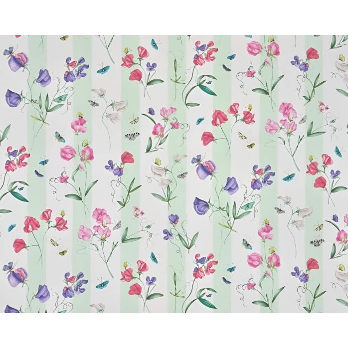 Pierre Frey Rayure les pois de senteur Wallpaper