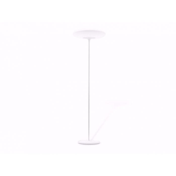 Linea Light Squash Floor Lamp