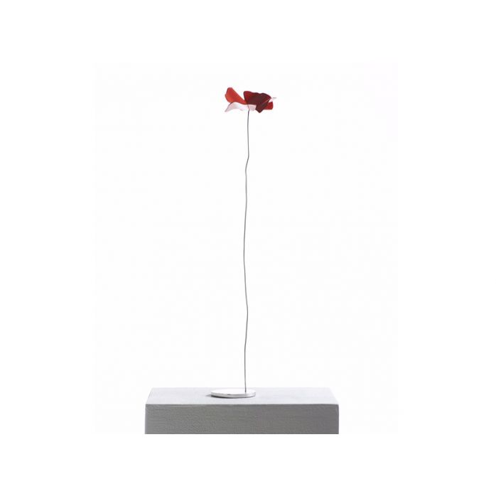Opinion Ciatti Papavero Delicato Décor Oggetti