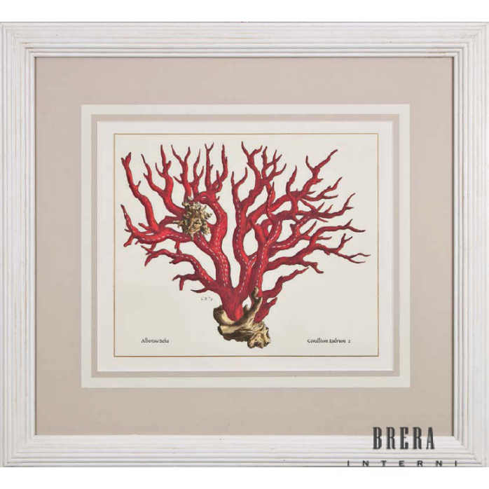 Poster Artecornici Corallo Rosso