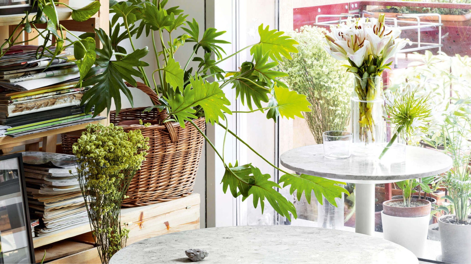 Brand che aderiscono ai principi etici e orientati all'efficienza del Green Design